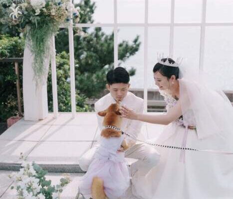 指帆亭結婚式花嫁