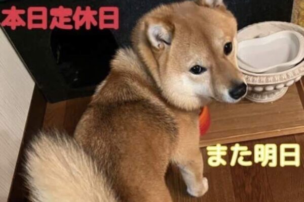 ナイスレポンドブライダル