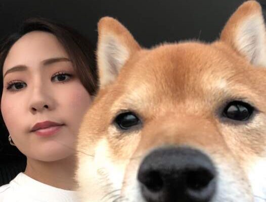 こんにちは