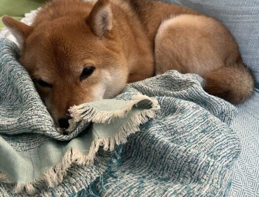 Ｒｉ〜3