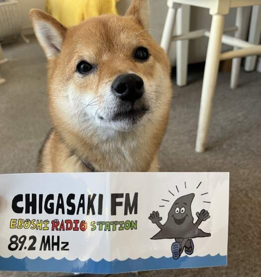 茅ヶ崎FM放送