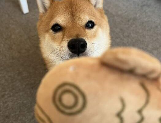 花嫁みなちゃんより