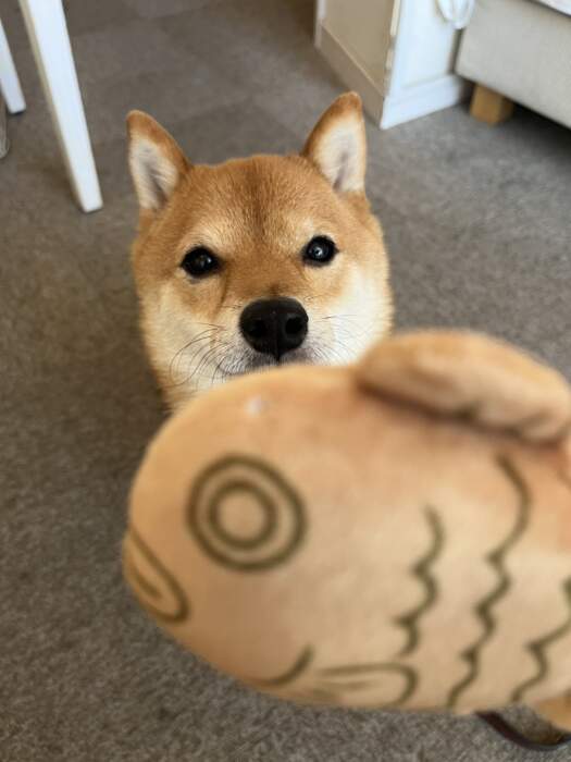 花嫁みなちゃんより