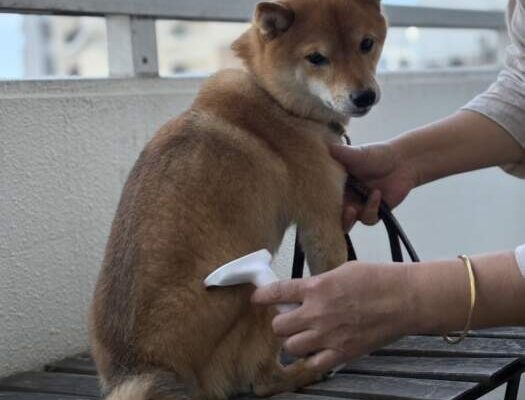 Ｒiブログ❤️