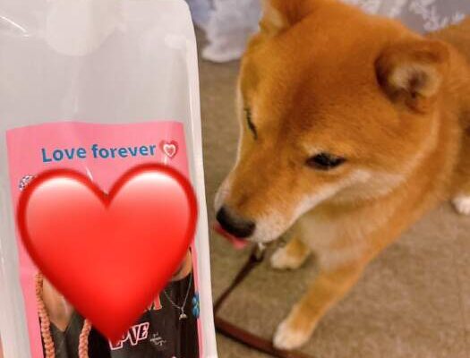 夏キャンペーン❤️