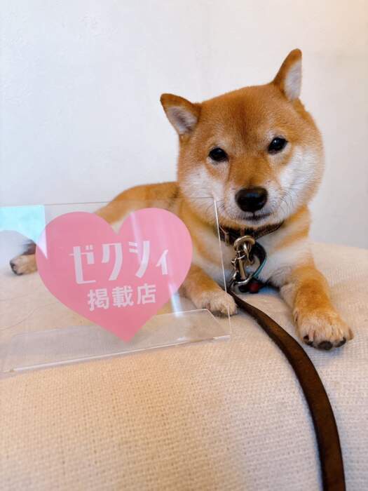 ナイスレポンドブライダル❤️