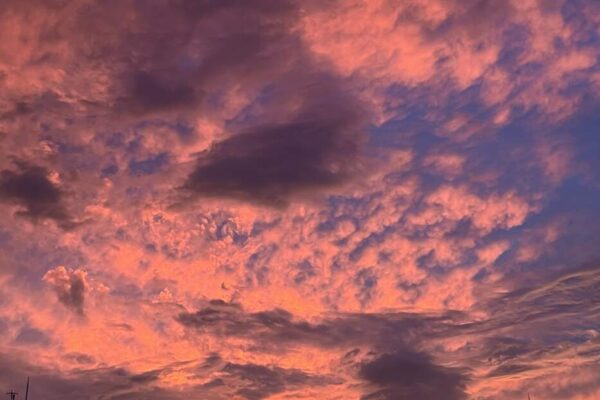赤い夕日に