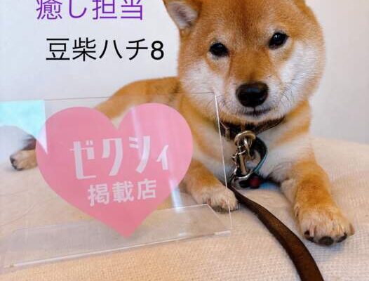 ナイスレポンドエステ