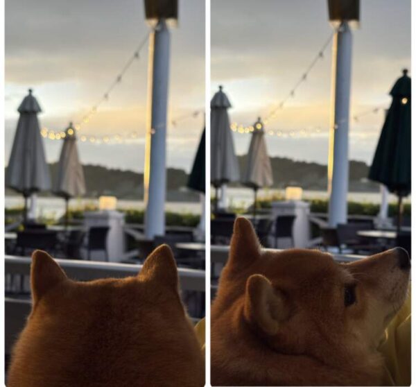 10月1日ハチ8の夕暮れ