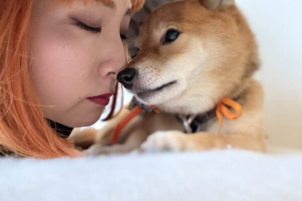 ブライダルハロウィン