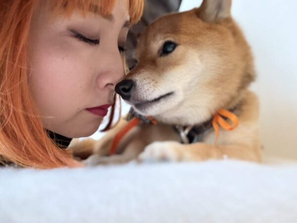 ブライダルハロウィン