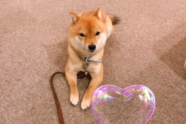 年末キャンペーン❤️