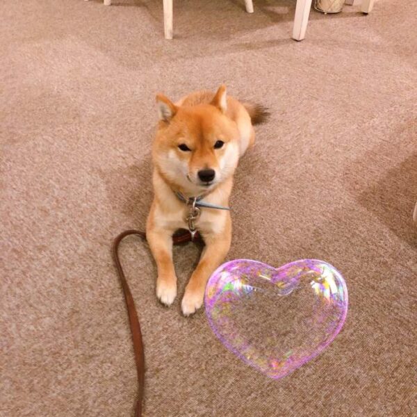 年末キャンペーン❤️