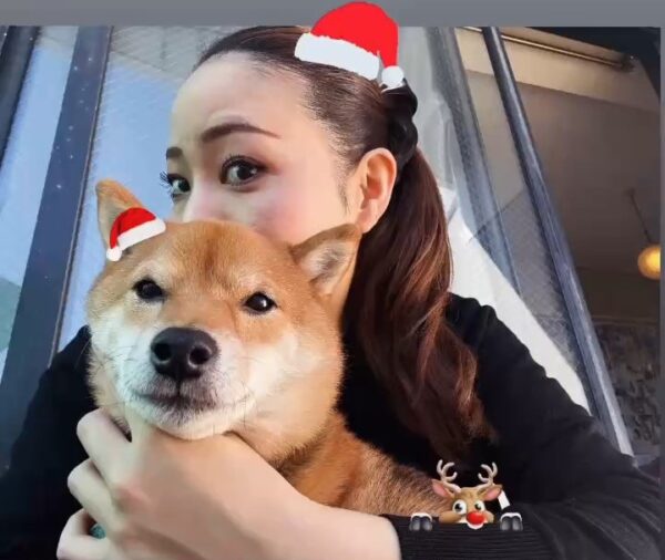 ナイスレポンドへ