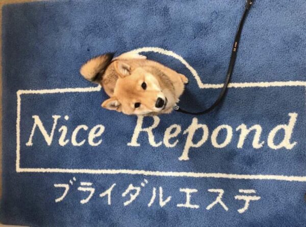 ブライダルエステ30周年❤️