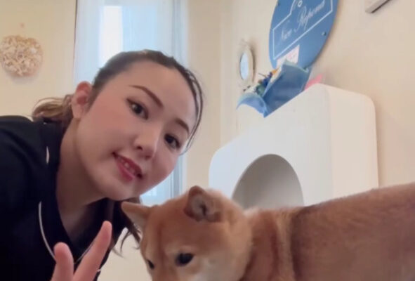 ナイスレポンドブライダル