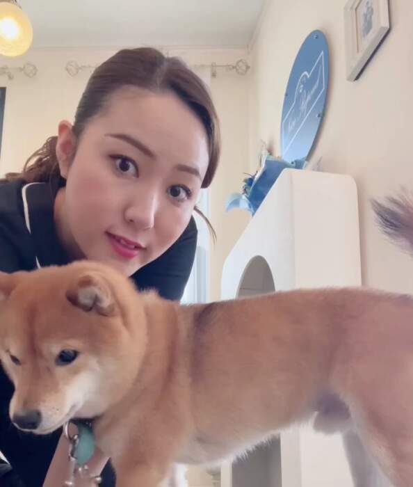 今日も元気に