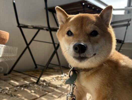 ゴールデンウィーク