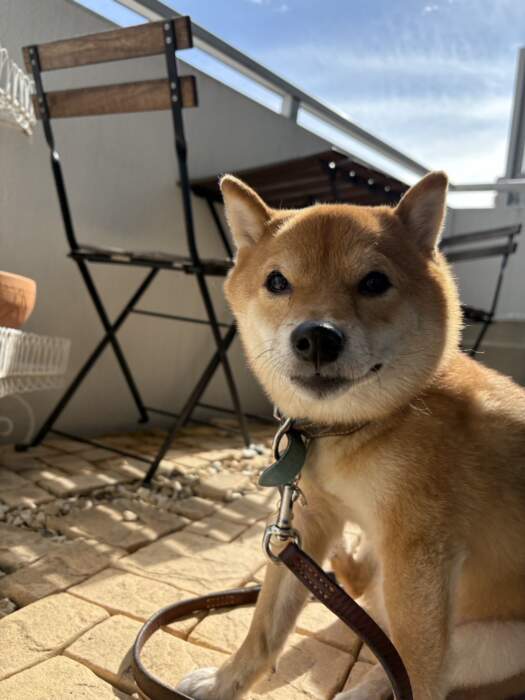 ゴールデンウィーク