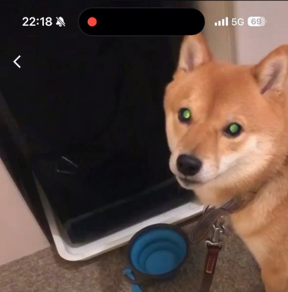 水分補給忘れずに